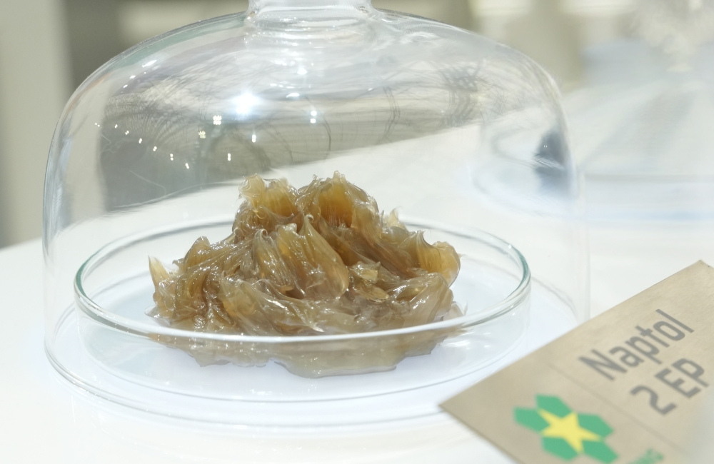 Thành phần và cấu trúc mỡ Naptol 2 EP